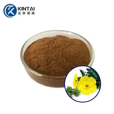 Tribulus Terrestris Özü Tozu
